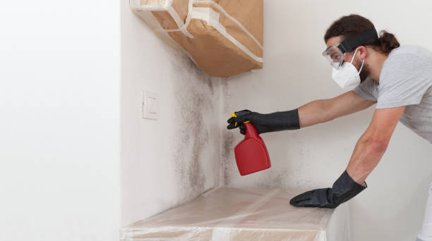 Professional Bathroom Mold Removal technician working in Oakdale, MN